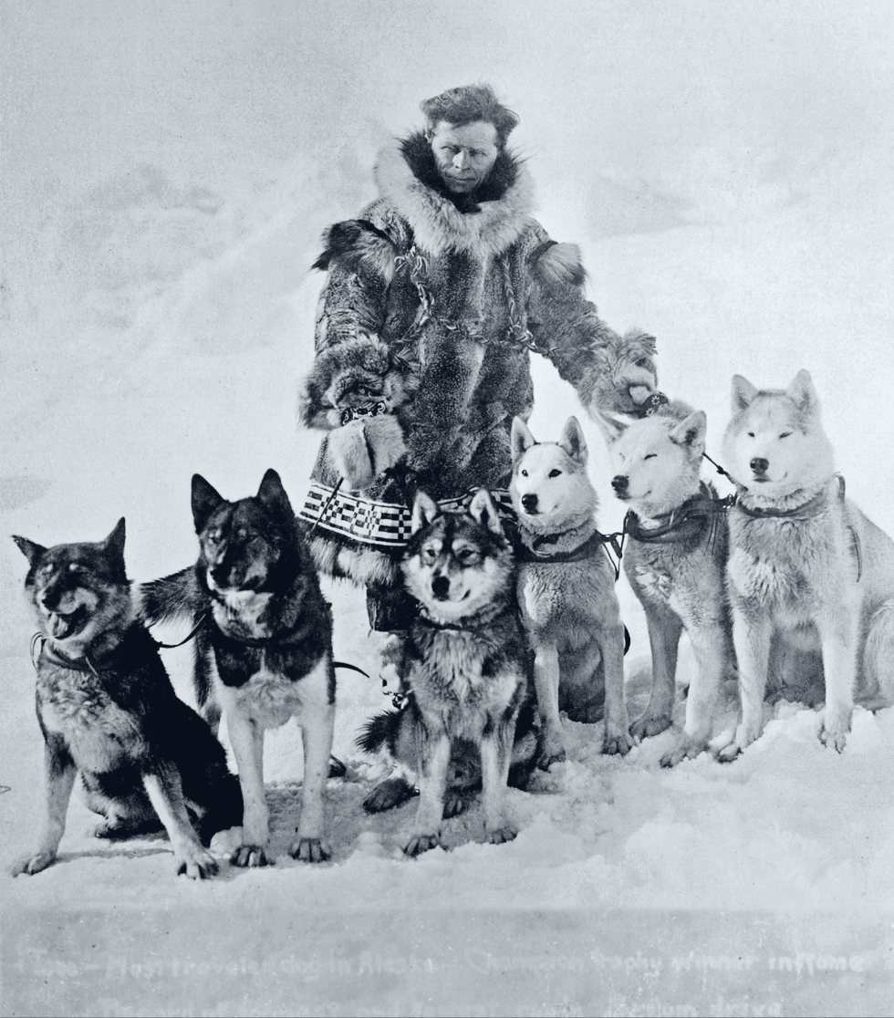 Leonhard Seppala in a fur parka standing behind six sled dogs on the snow. Togo, a dark dog with his tongue out, sits on the far left.