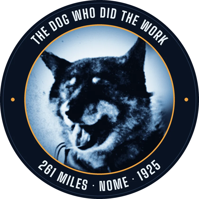 The $TOGO medal: a photograph of Togo from about 1925, ringed with the words The dog who did the work, 261 miles, Nome, 1925